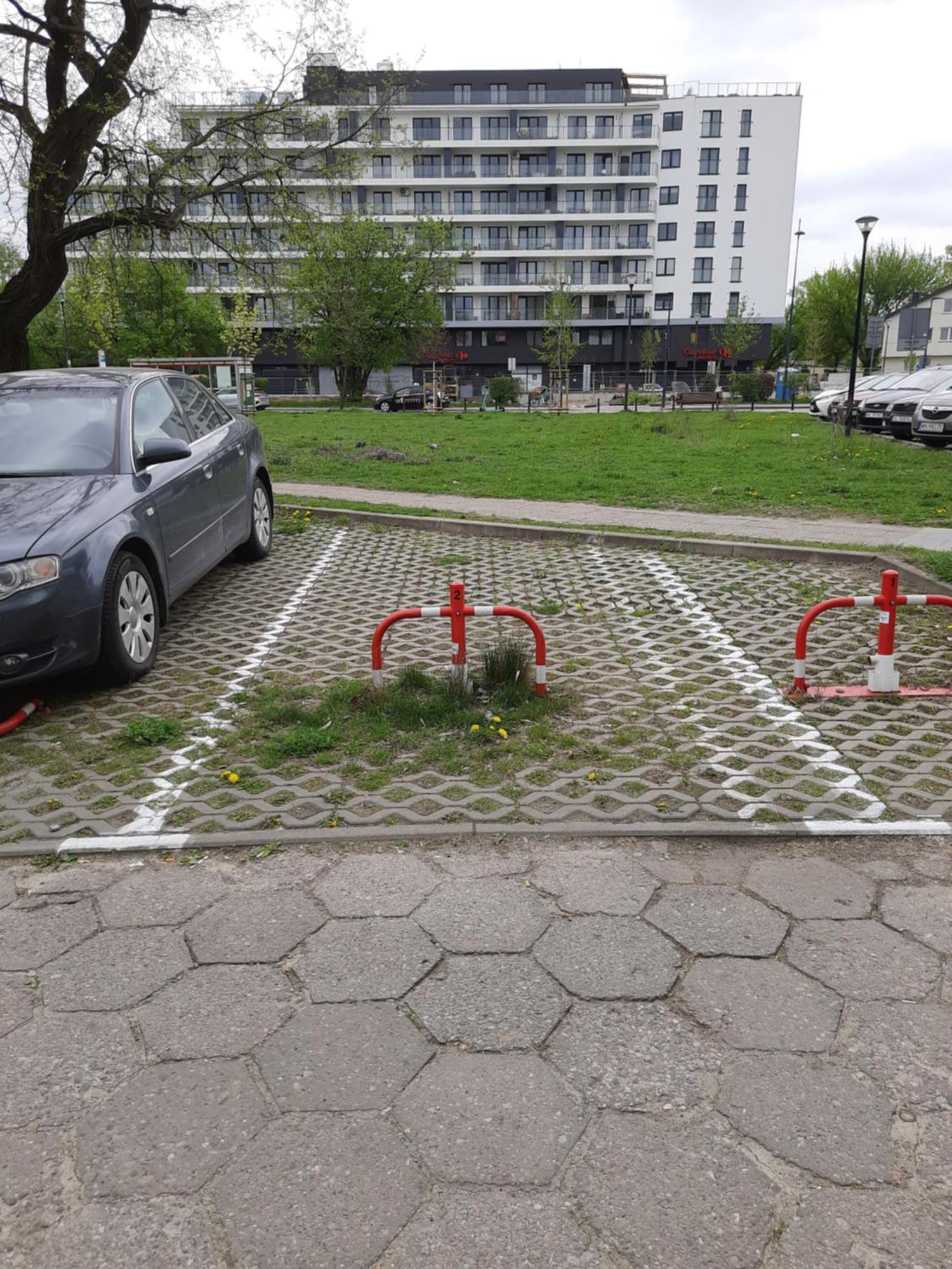 "Sady Flat" Appartement Warschau Buitenkant foto
